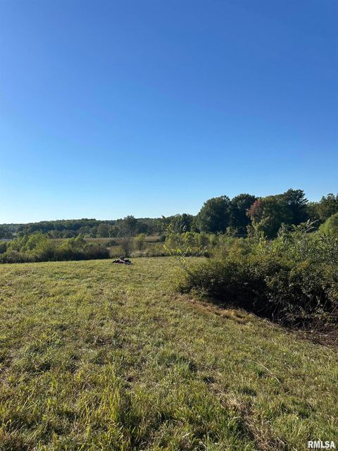 Vacant Land For Sale - 000 Center Church Road<br/> Pulaski County, Villa Ridge, IL 62996