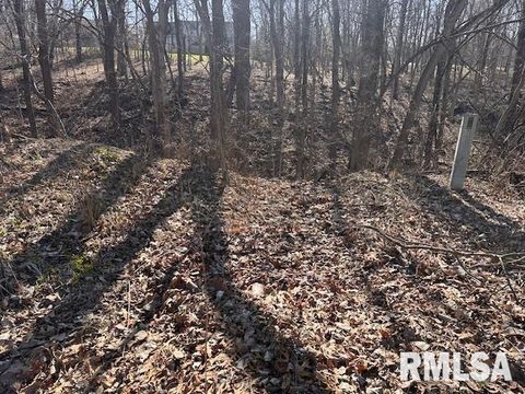 Vacant Land For Sale - 7 Pickwick Lane<br/> Mackinaw, IL 61755
