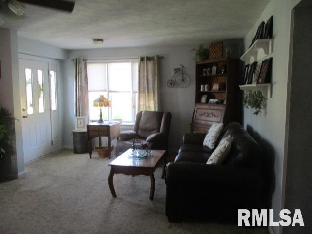 202 S Main Street, Roanoke, Illinois image 17