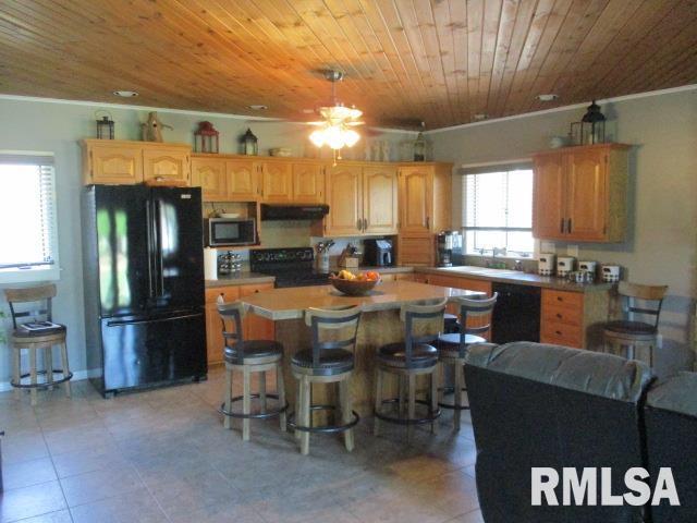 202 S Main Street, Roanoke, Illinois image 9