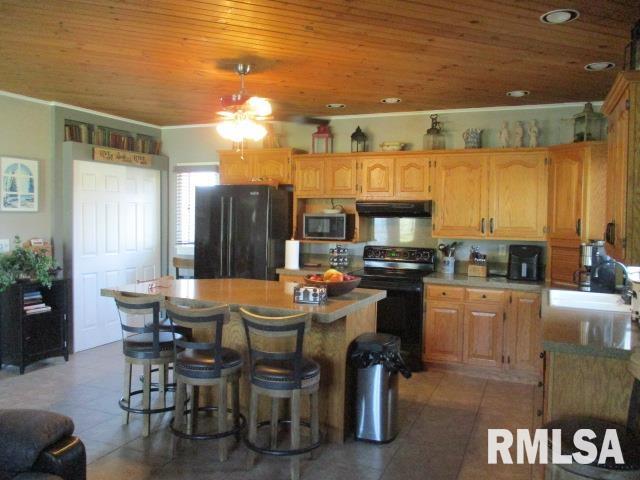 202 S Main Street, Roanoke, Illinois image 8
