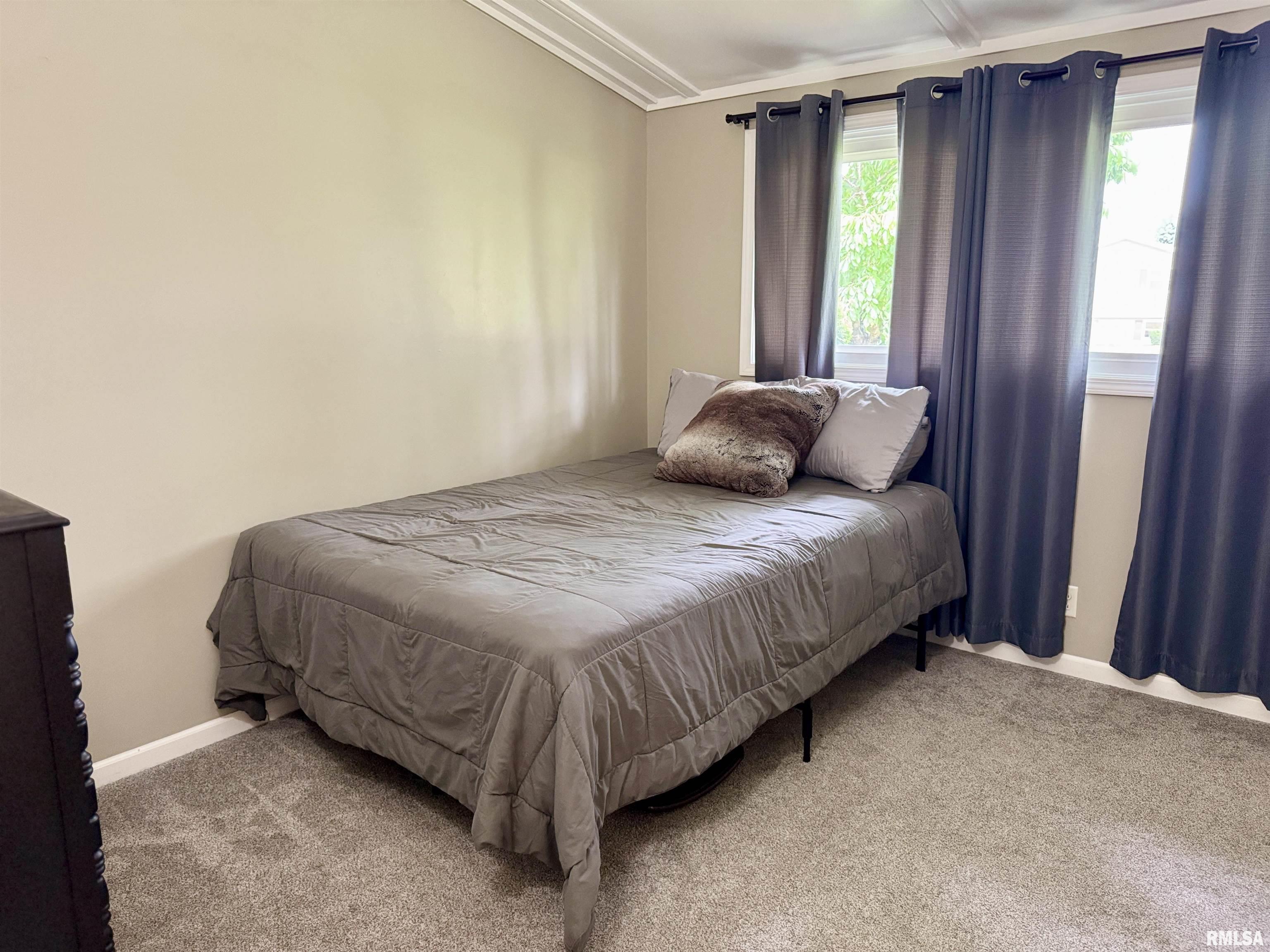 316 Sunshine Drive, Rio, Illinois image 36