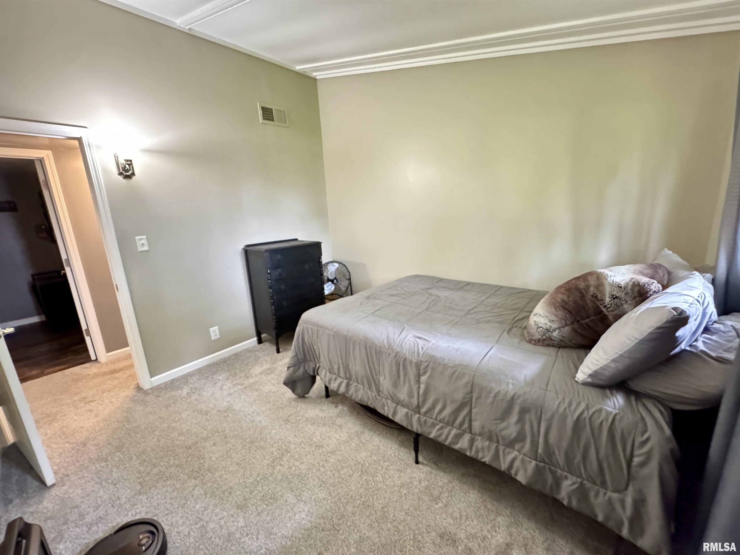 316 Sunshine Drive, Rio, Illinois image 35