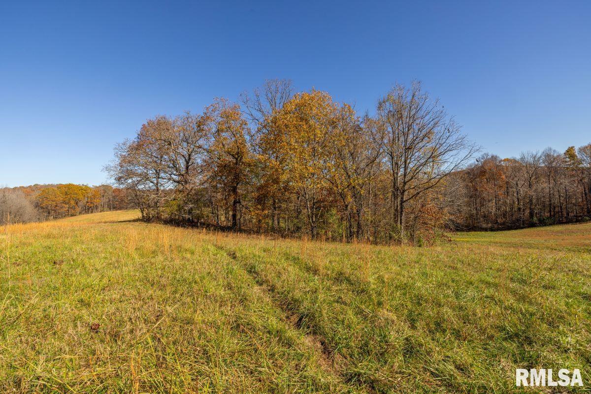 000 State Route 146 Highway, Elizabethtown, Illinois image 49