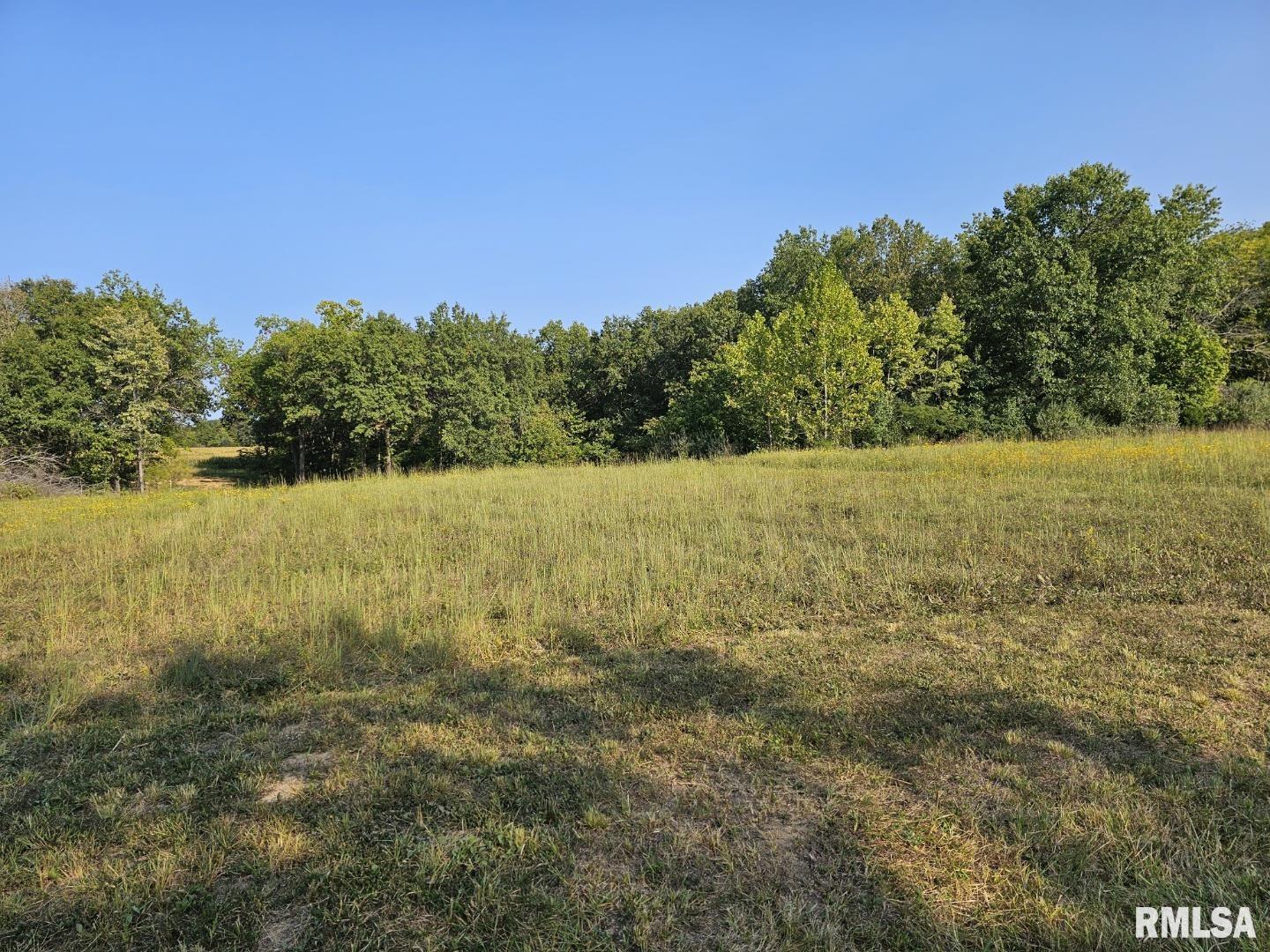 0000 N Stanford Lane, Opdyke, Illinois image 11