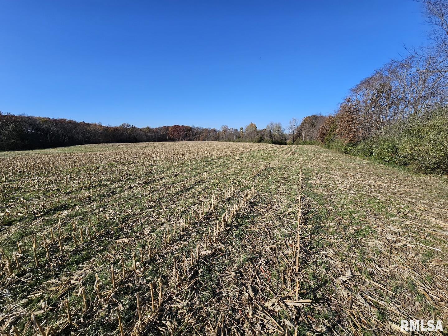 0000 N Stanford Lane, Opdyke, Illinois image 32