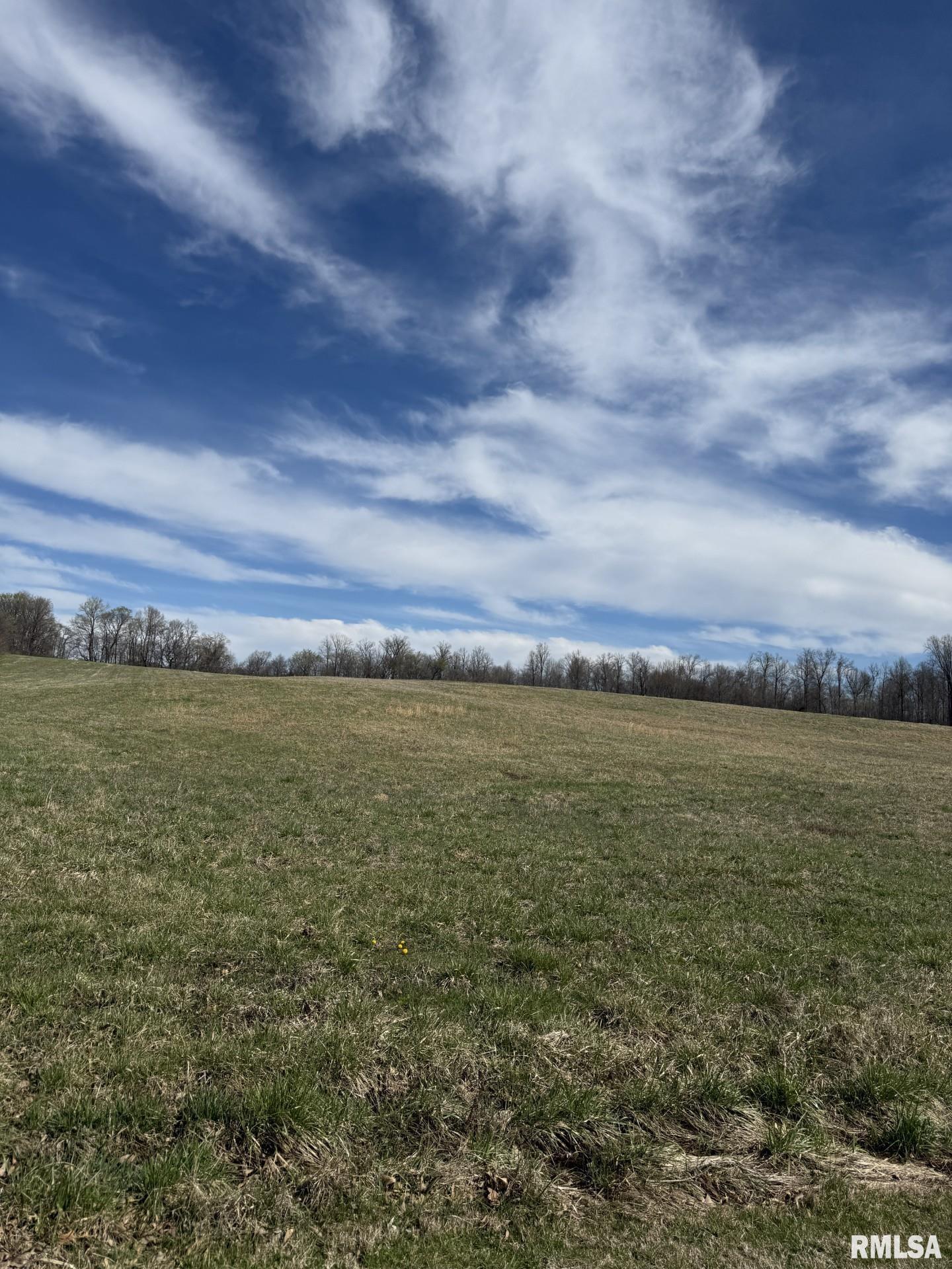 4875 Wing Hill Road, Cobden, Illinois image 3