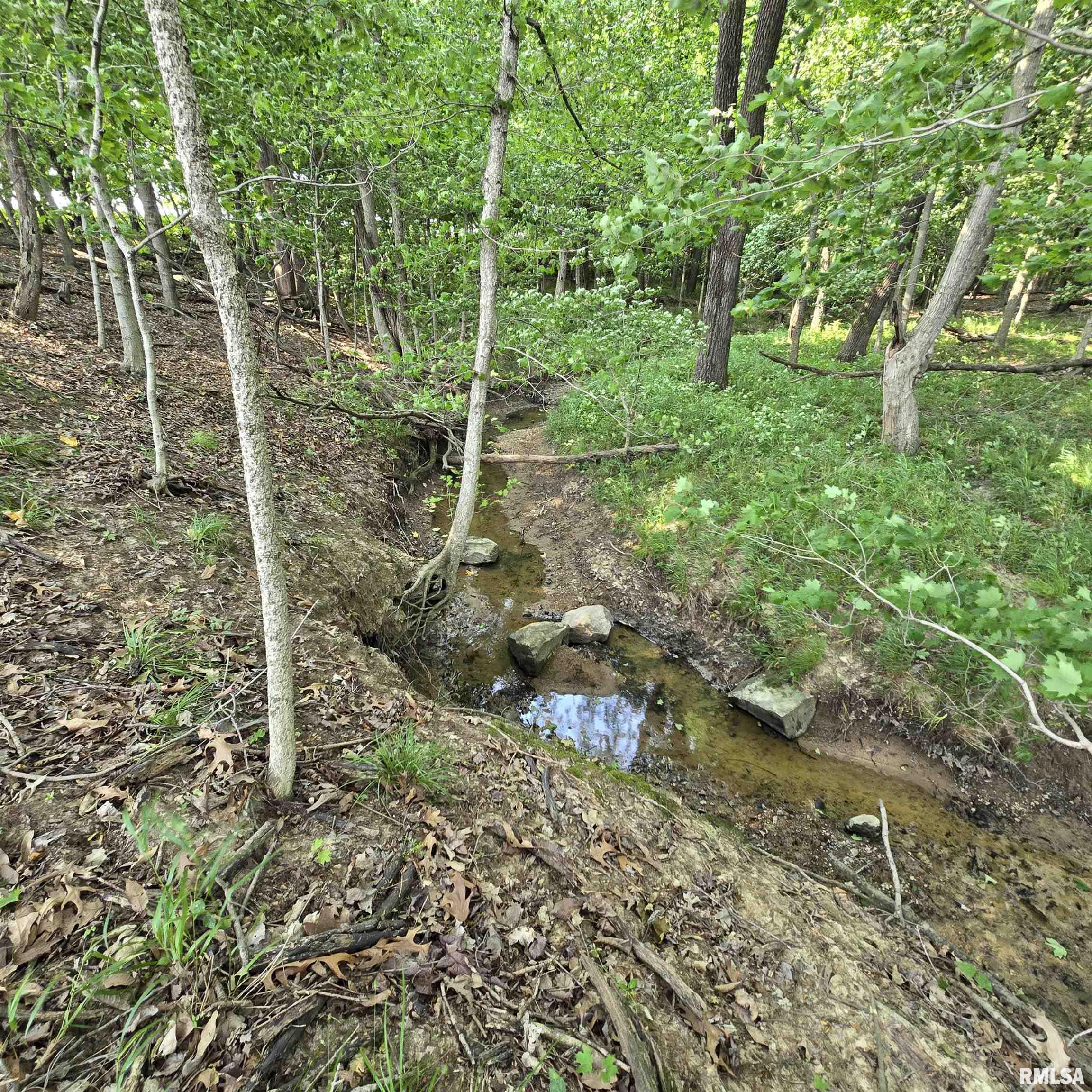 000 Wilson Road, Kinmundy, Illinois image 2
