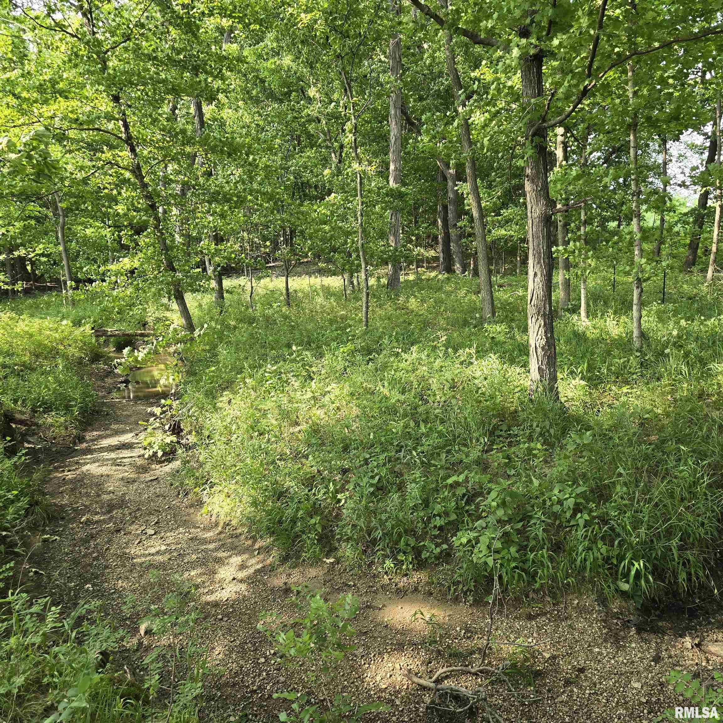 000 Wilson Road, Kinmundy, Illinois image 9