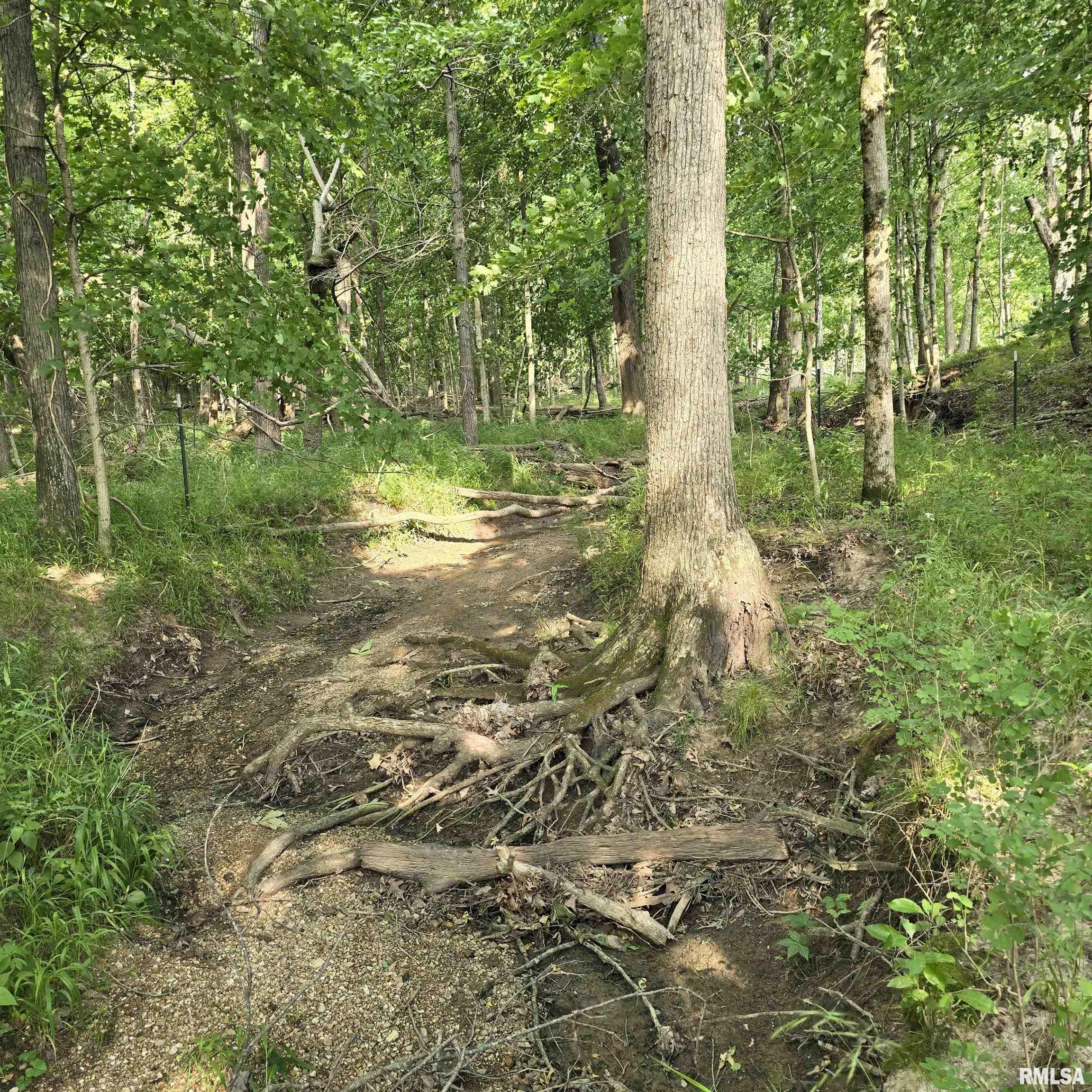 000 Wilson Road, Kinmundy, Illinois image 11
