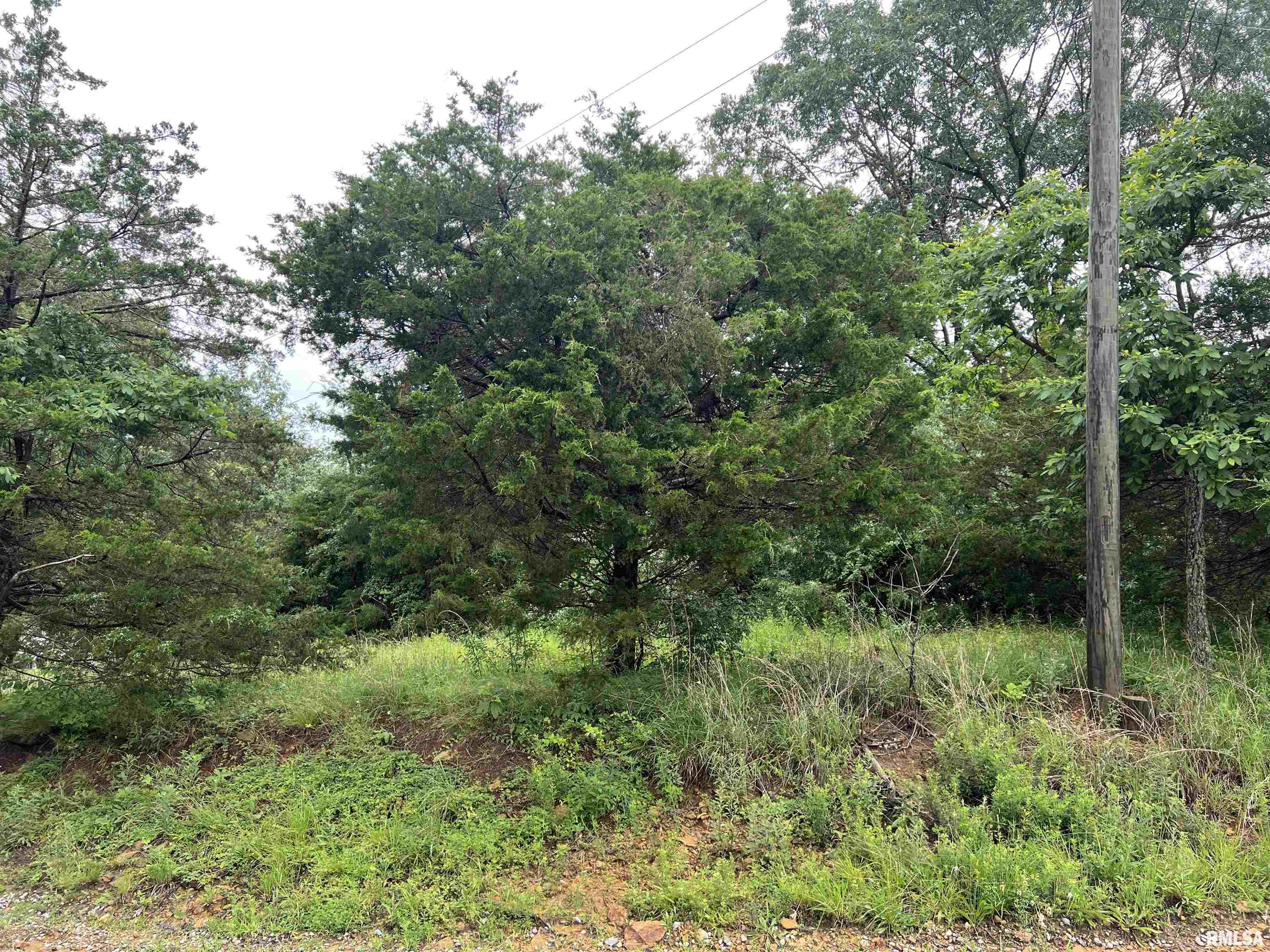 Lot 211 Cherokee Drive, Goreville, Illinois image 7
