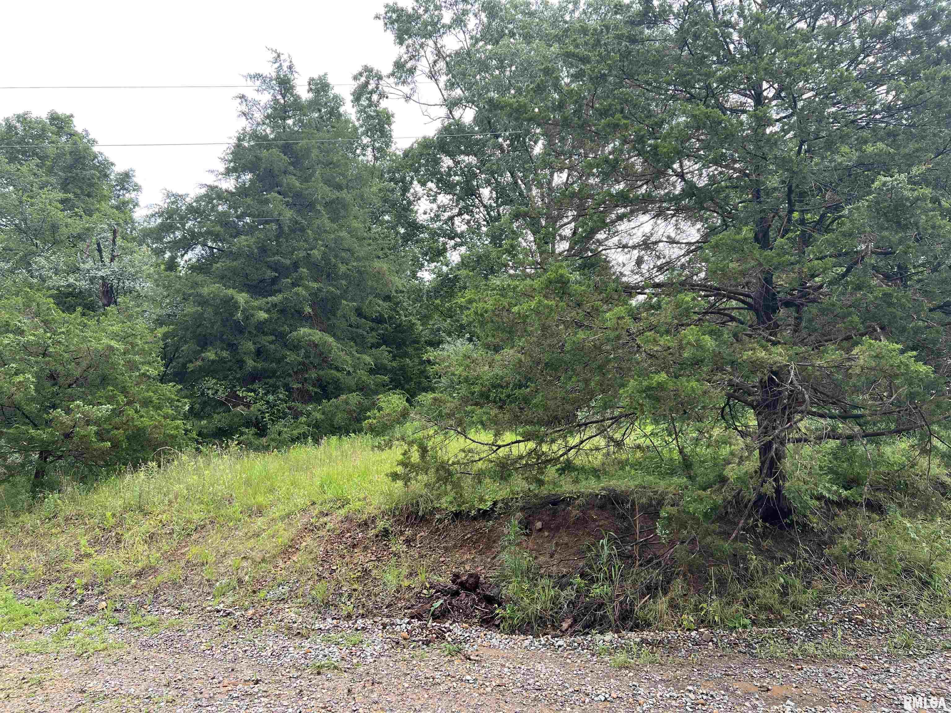 Lot 211 Cherokee Drive, Goreville, Illinois image 6
