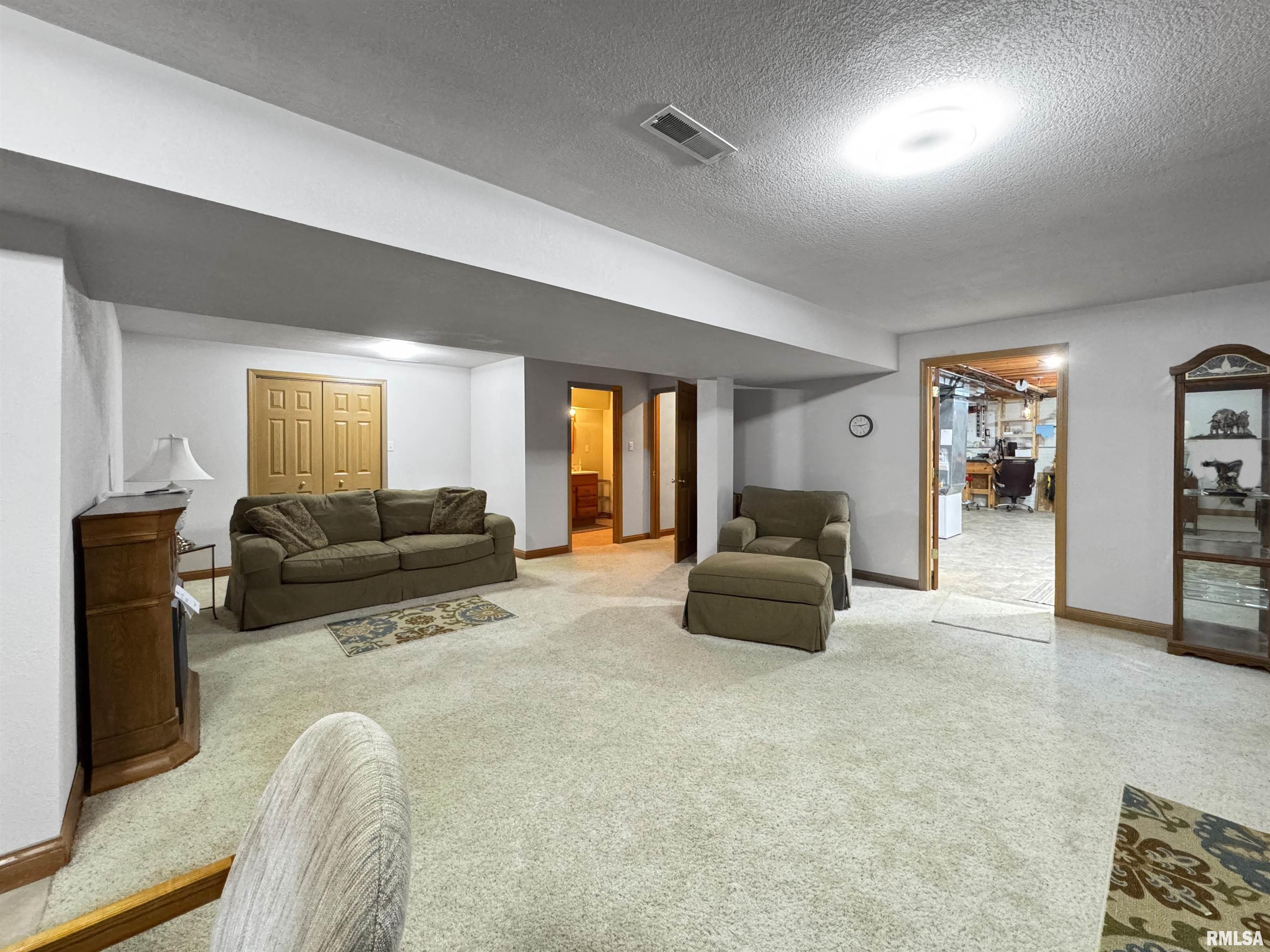 135 Wildlife Drive, Morton, Illinois image 42