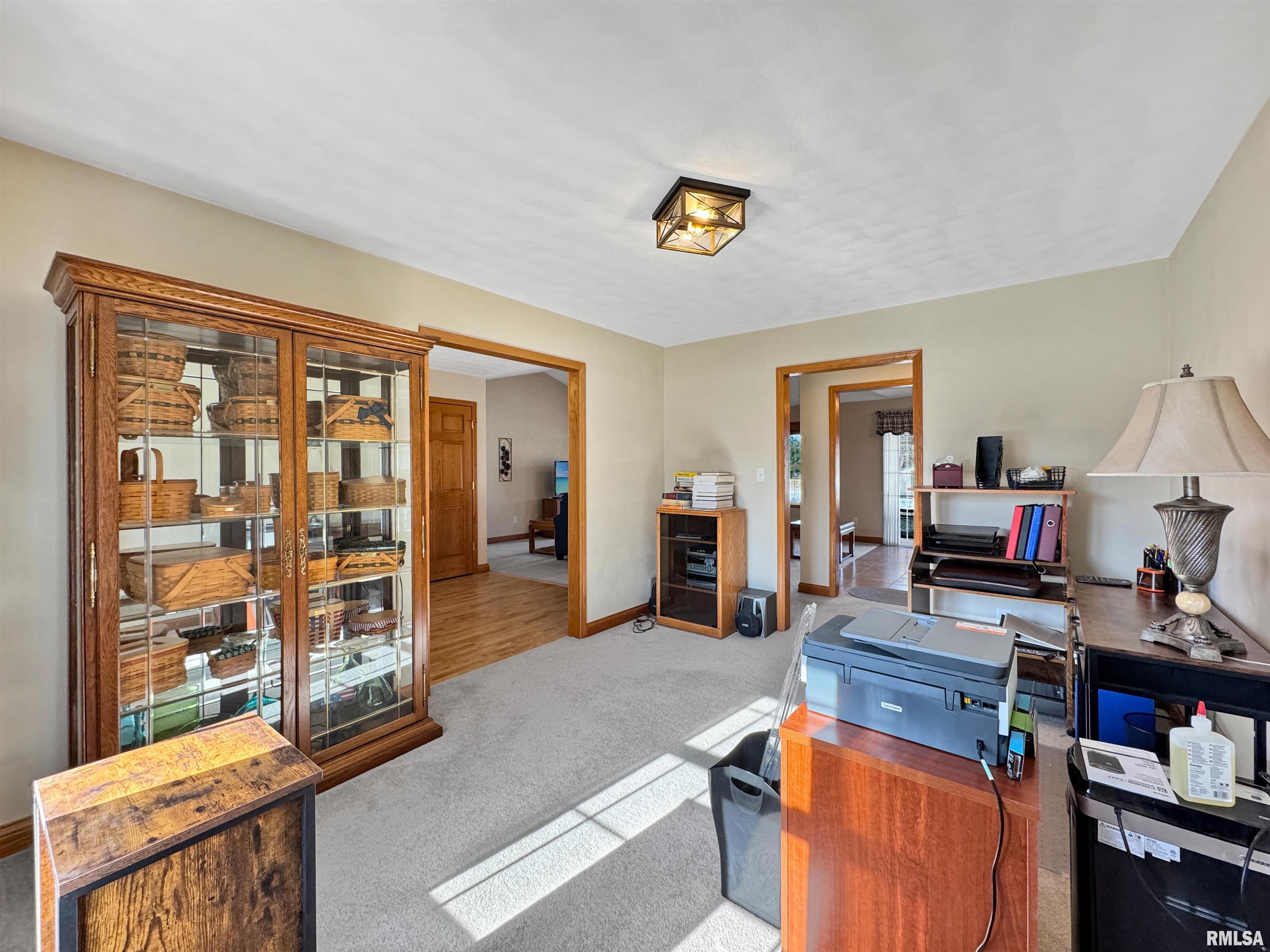 135 Wildlife Drive, Morton, Illinois image 27