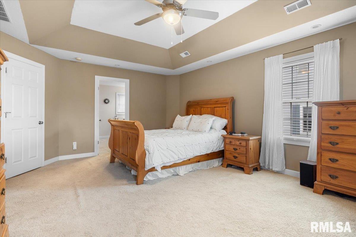 333 Linden Lane, Williamsville, Illinois image 27