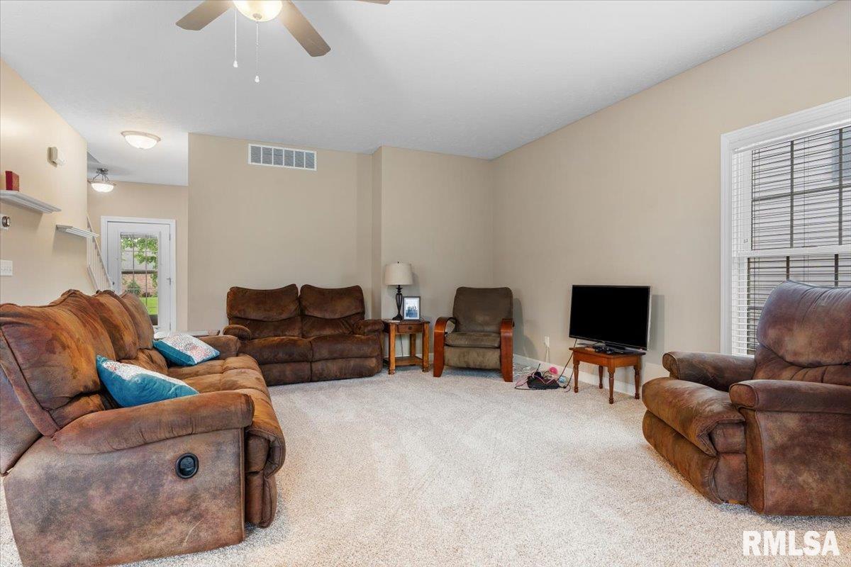 333 Linden Lane, Williamsville, Illinois image 17