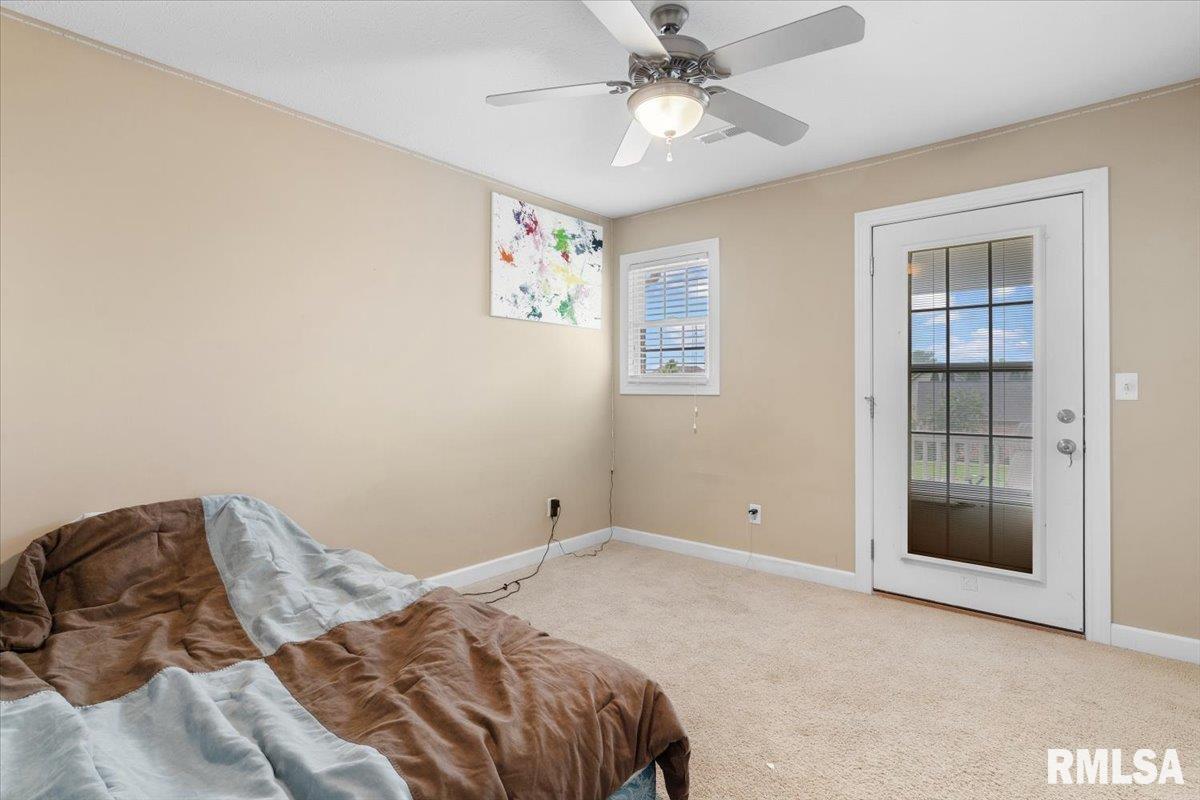 333 Linden Lane, Williamsville, Illinois image 34