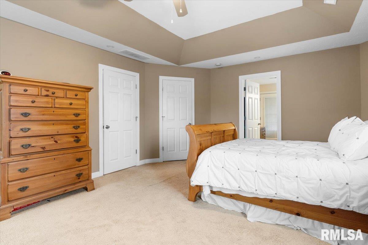 333 Linden Lane, Williamsville, Illinois image 26