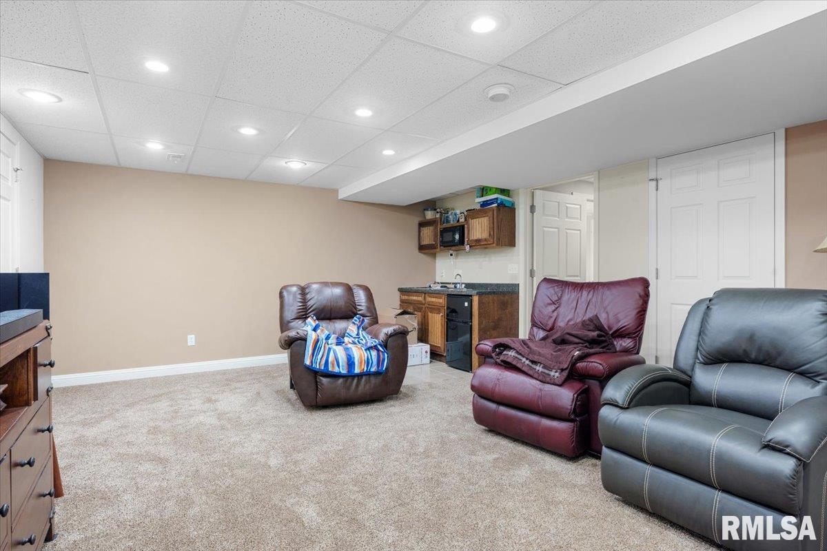 333 Linden Lane, Williamsville, Illinois image 38