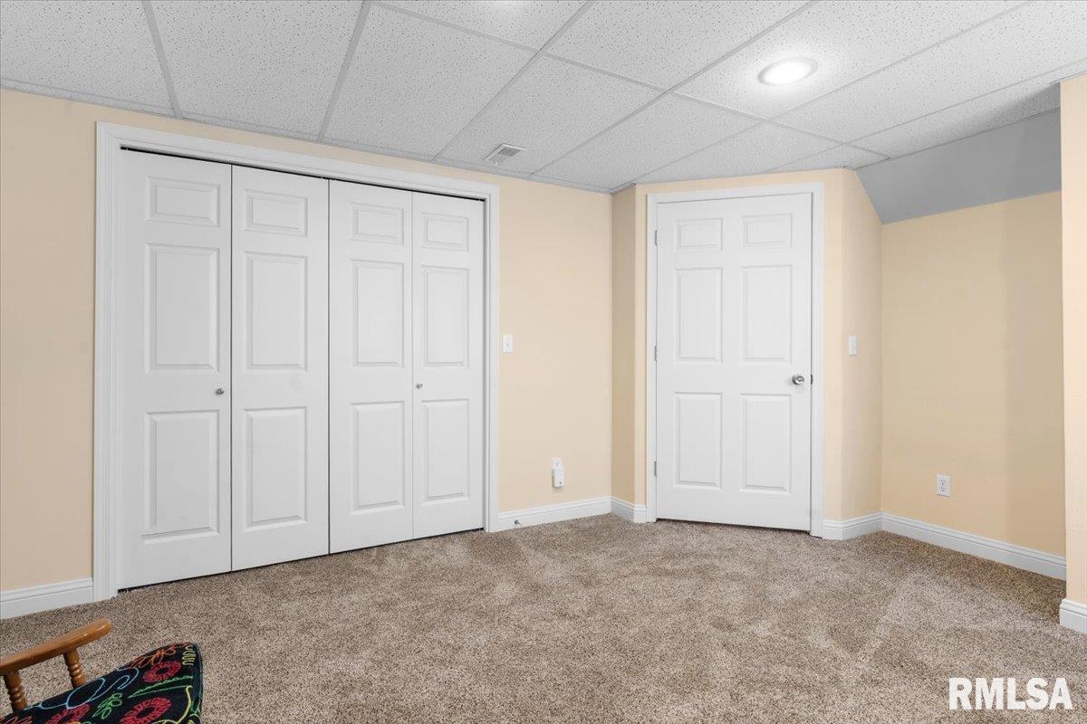 333 Linden Lane, Williamsville, Illinois image 40