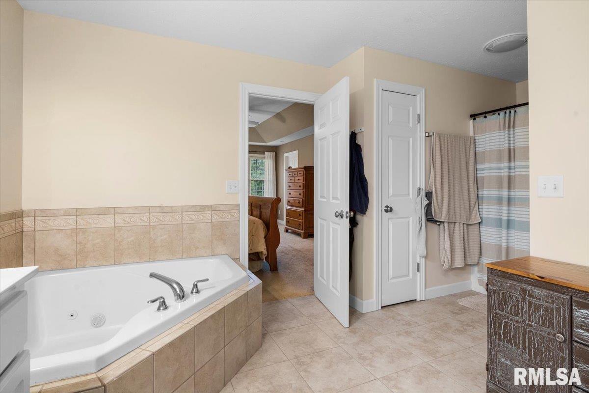 333 Linden Lane, Williamsville, Illinois image 30
