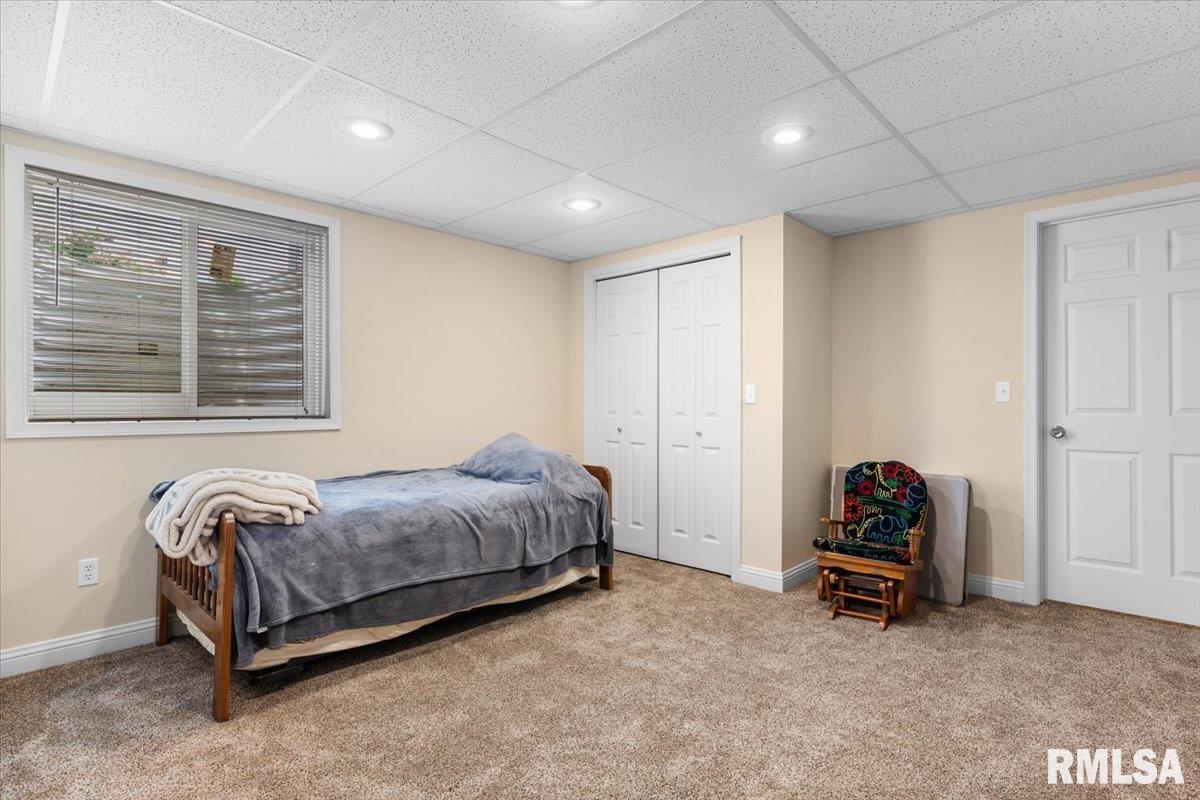 333 Linden Lane, Williamsville, Illinois image 39