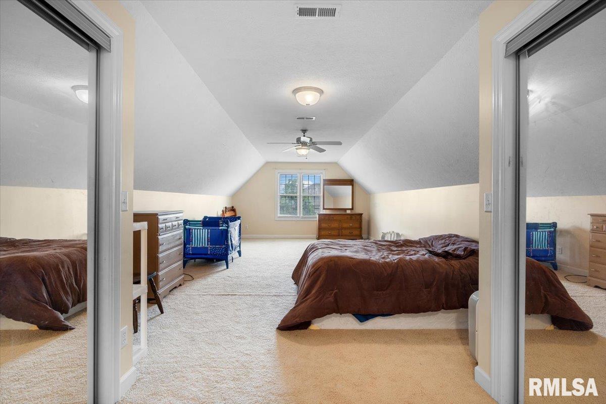 333 Linden Lane, Williamsville, Illinois image 33