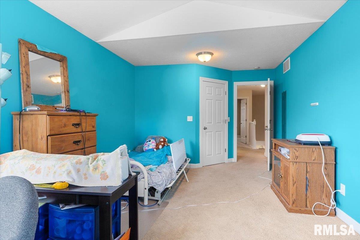 333 Linden Lane, Williamsville, Illinois image 36