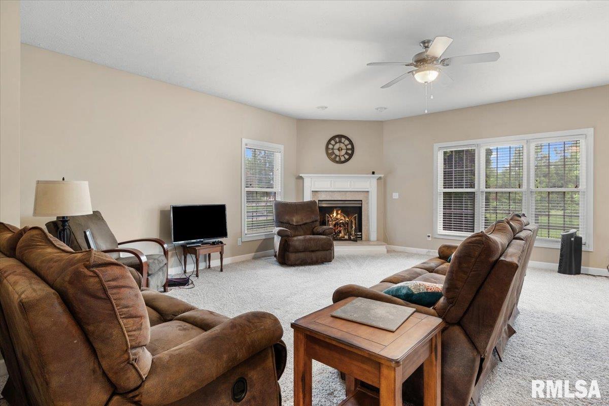 333 Linden Lane, Williamsville, Illinois image 15