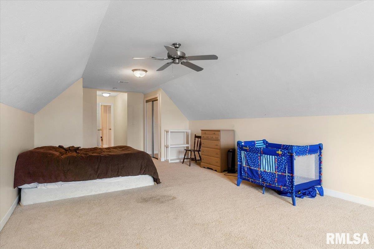333 Linden Lane, Williamsville, Illinois image 31