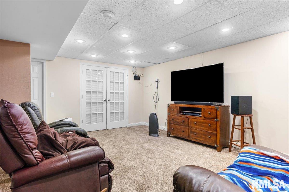333 Linden Lane, Williamsville, Illinois image 37