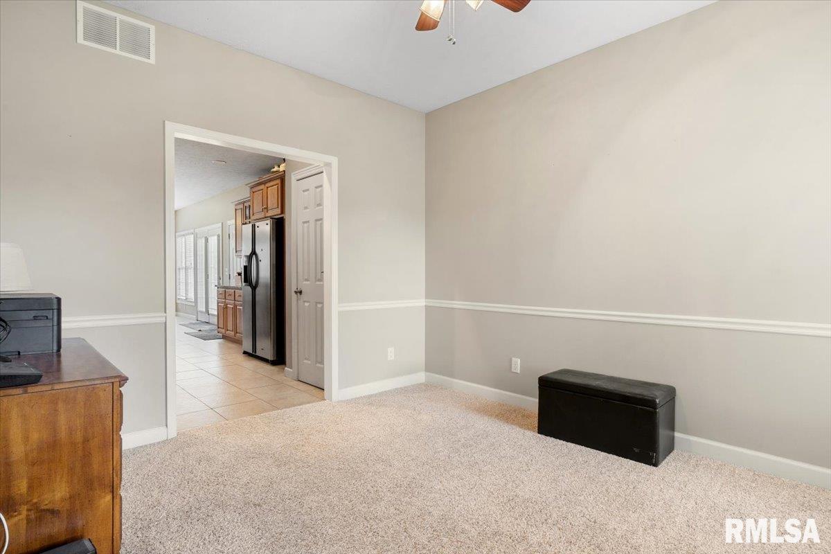 333 Linden Lane, Williamsville, Illinois image 23
