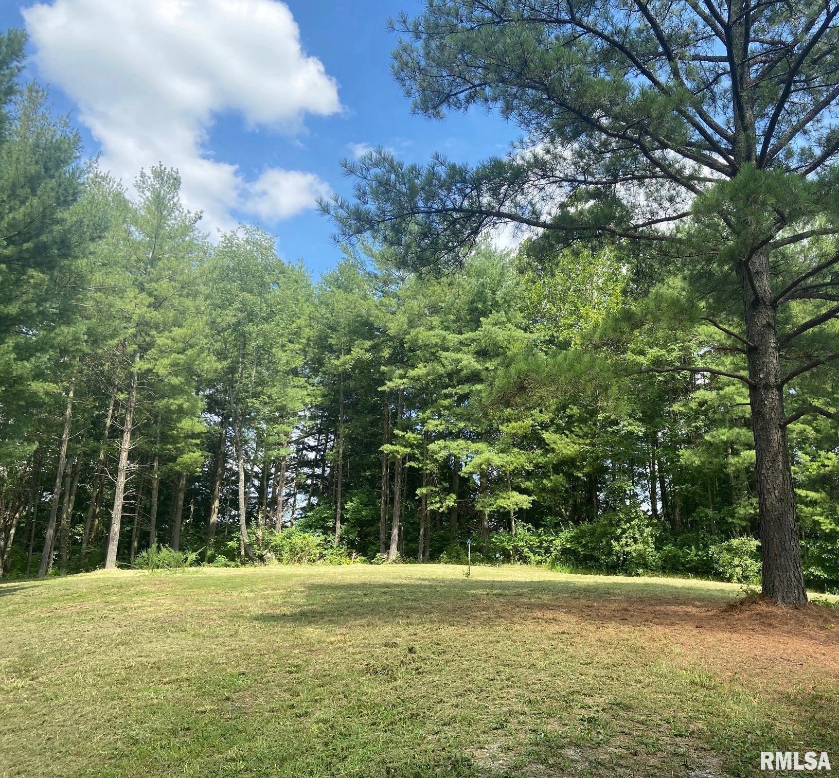 4159 Evergreen Lane, Pinckneyville, Illinois image 9