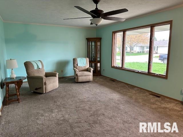 17A Appomatox Avenue, Jacksonville, Illinois image 12