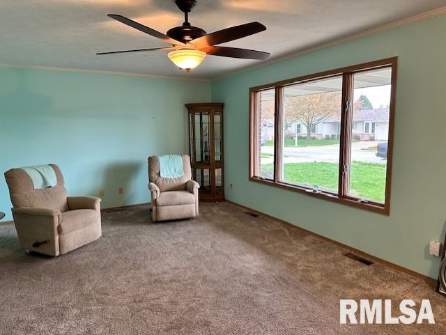 17A Appomatox Avenue, Jacksonville, Illinois image 14