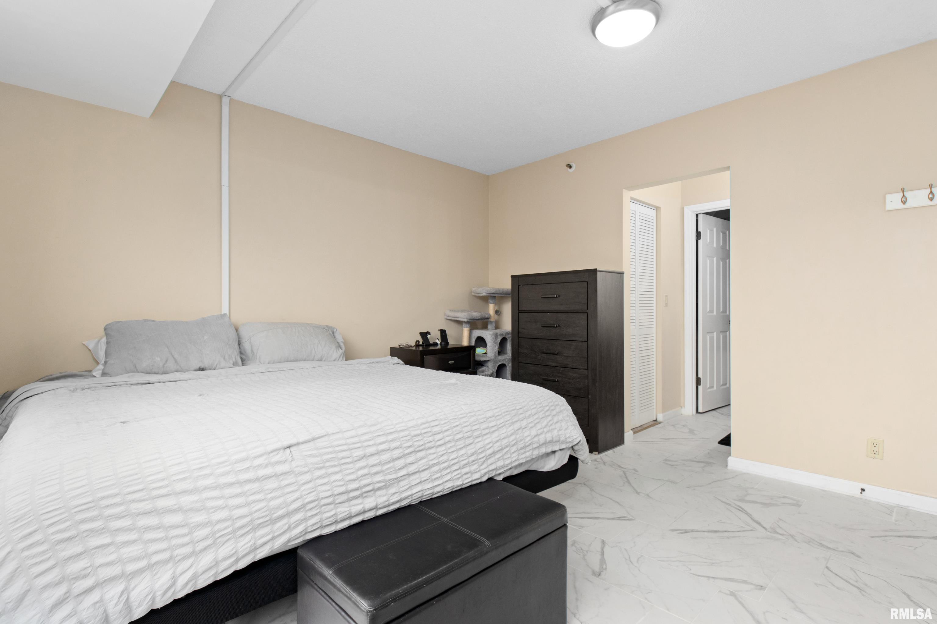 125 SW Jefferson Avenue #W5W, Peoria, Illinois image 23