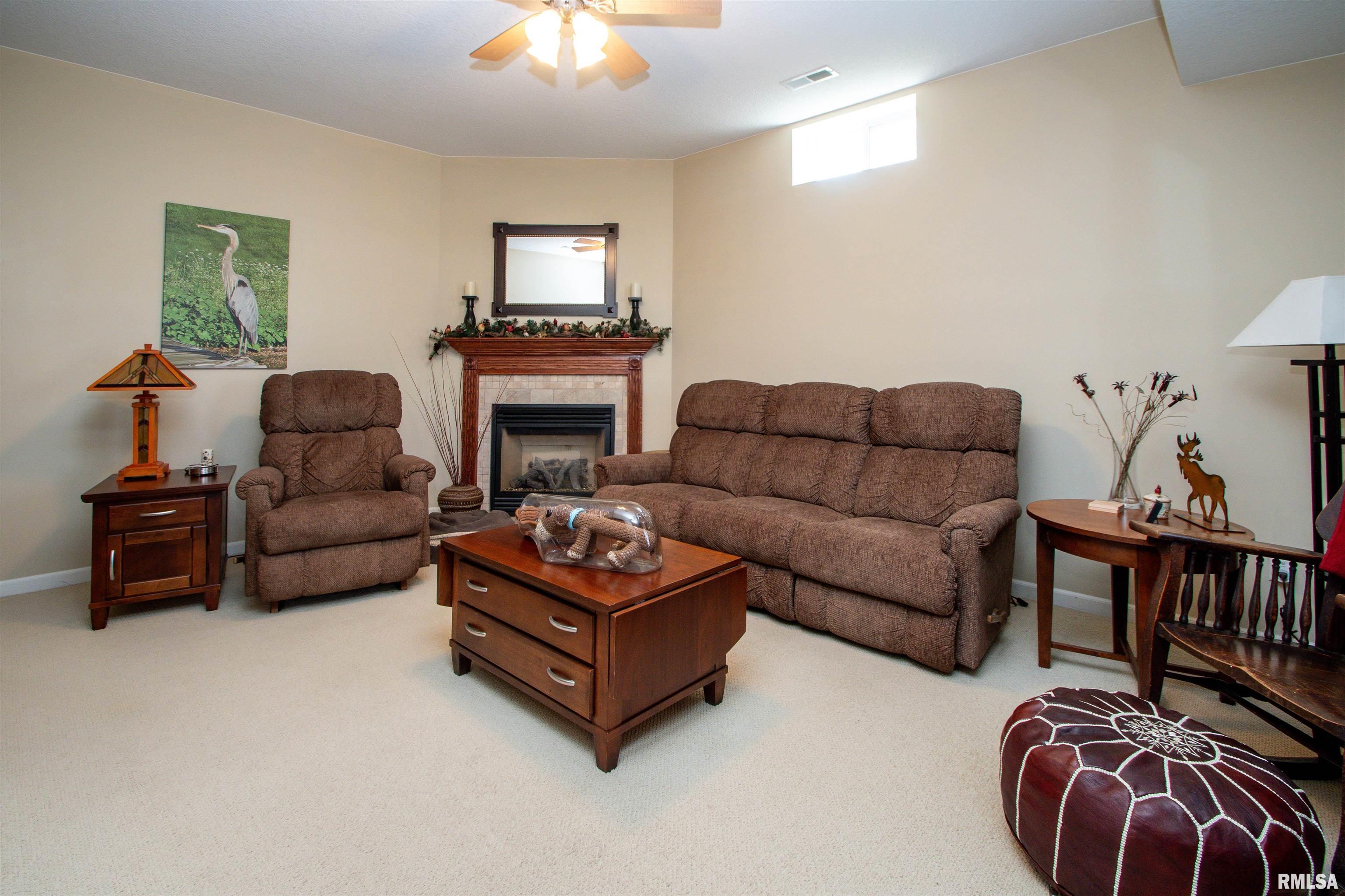8073 Oak Run Drive, Dahinda, Illinois image 41