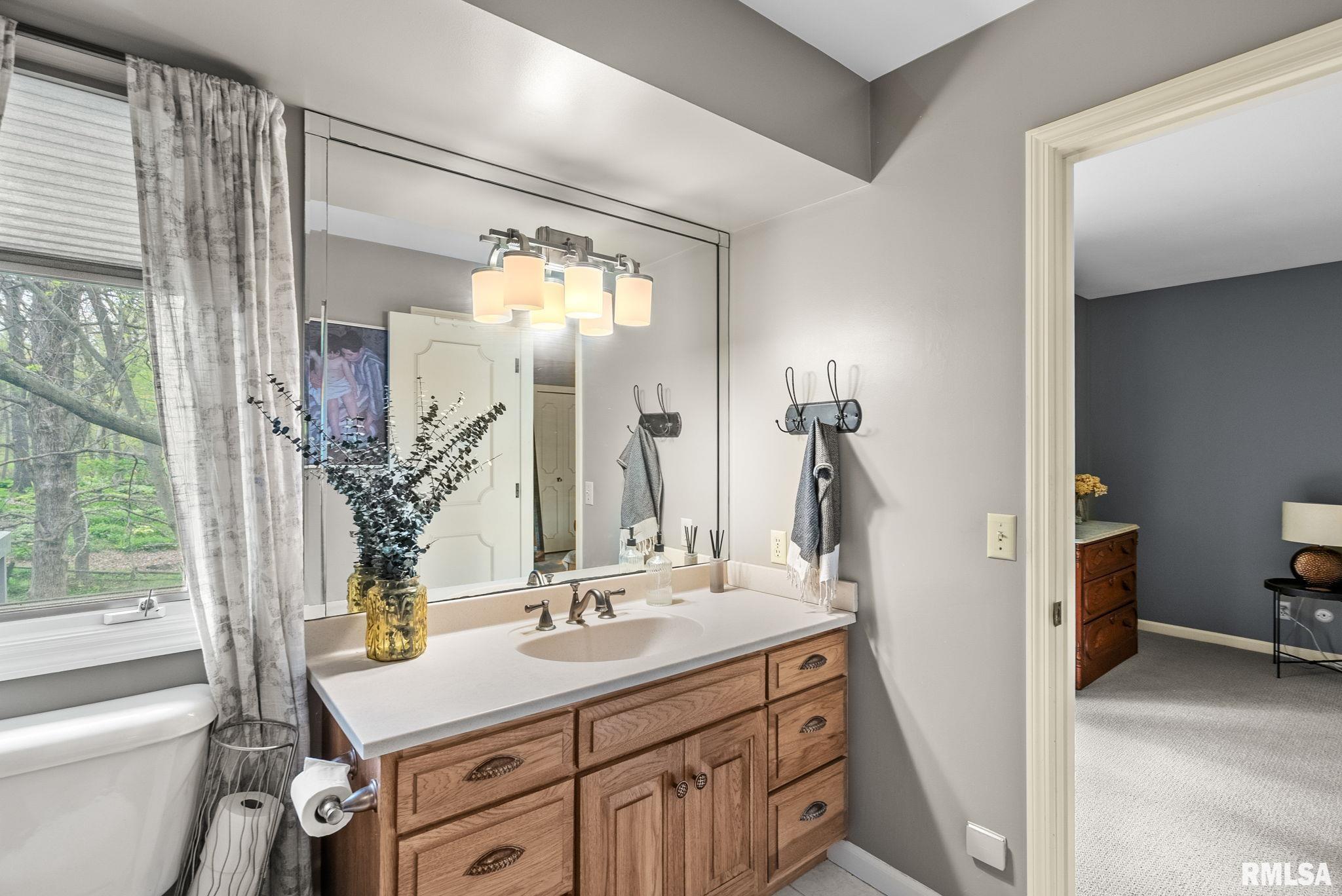 10 Timber Ridge Drive, Coal Valley, Illinois image 22