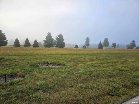 Vacant Land For Sale - 904 Brinkman Way<br/> Metamora, IL 61548