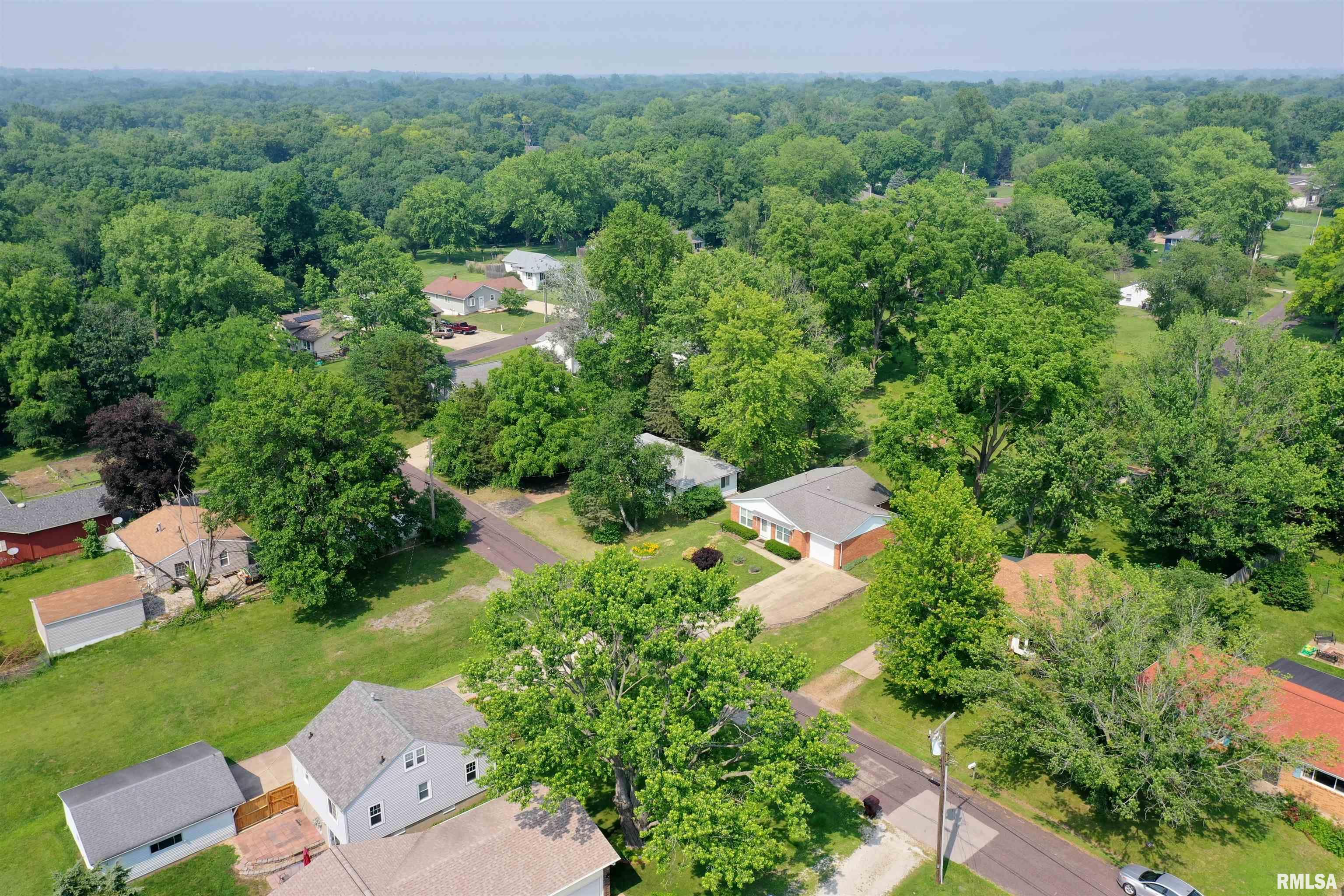 4422 N Carola Avenue, Peoria, Illinois image 31
