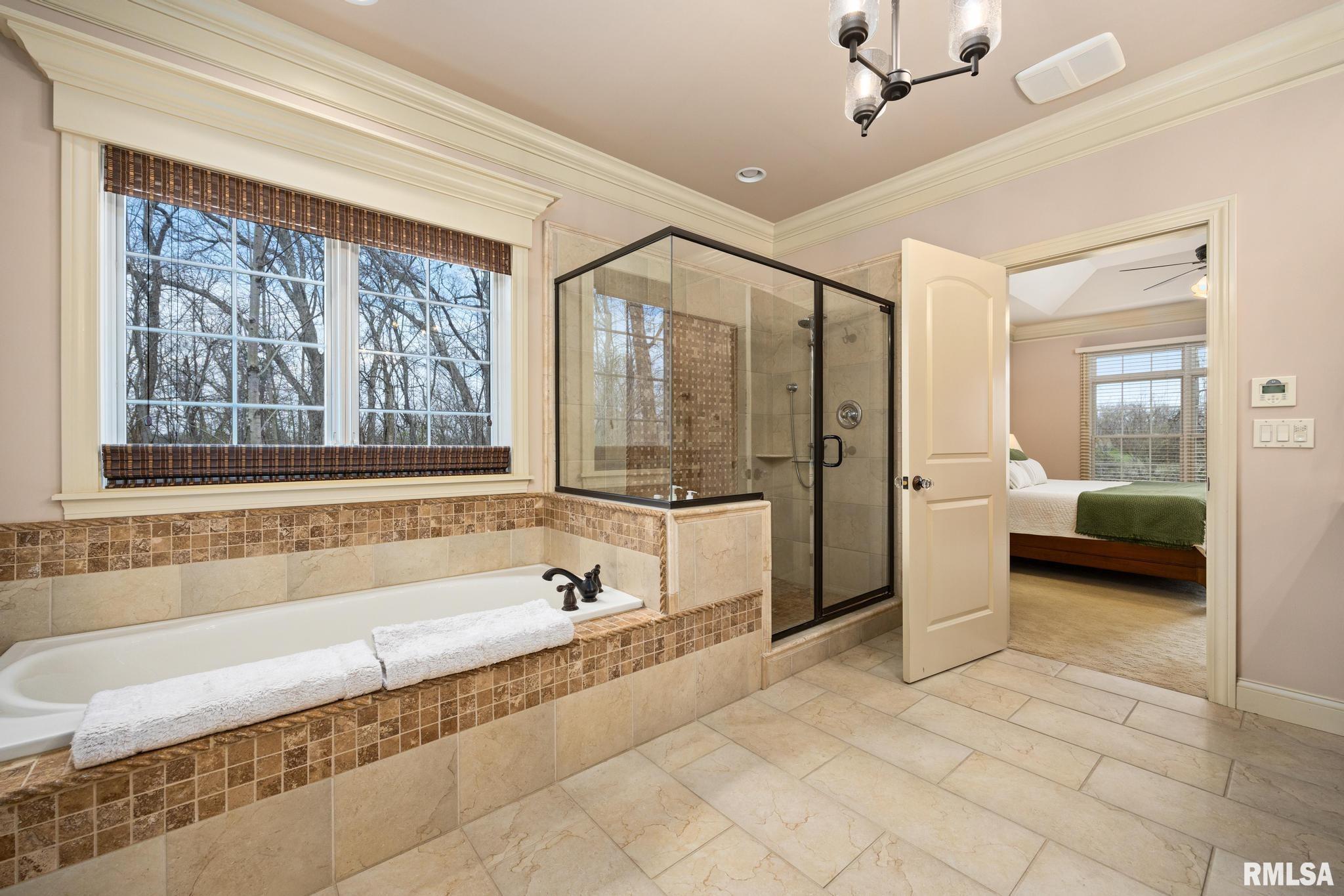 6410 W Stonebrook Drive, Edwards, Illinois image 23