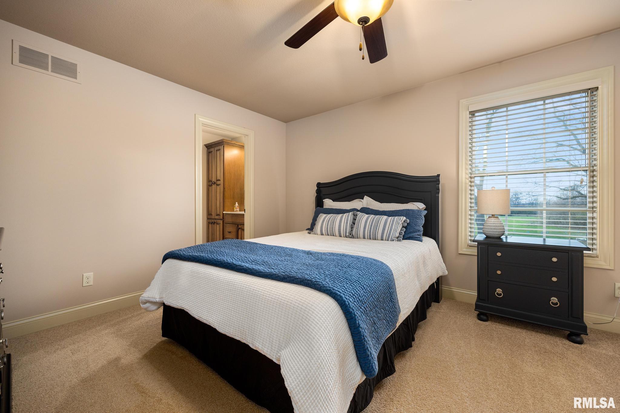 6410 W Stonebrook Drive, Edwards, Illinois image 30