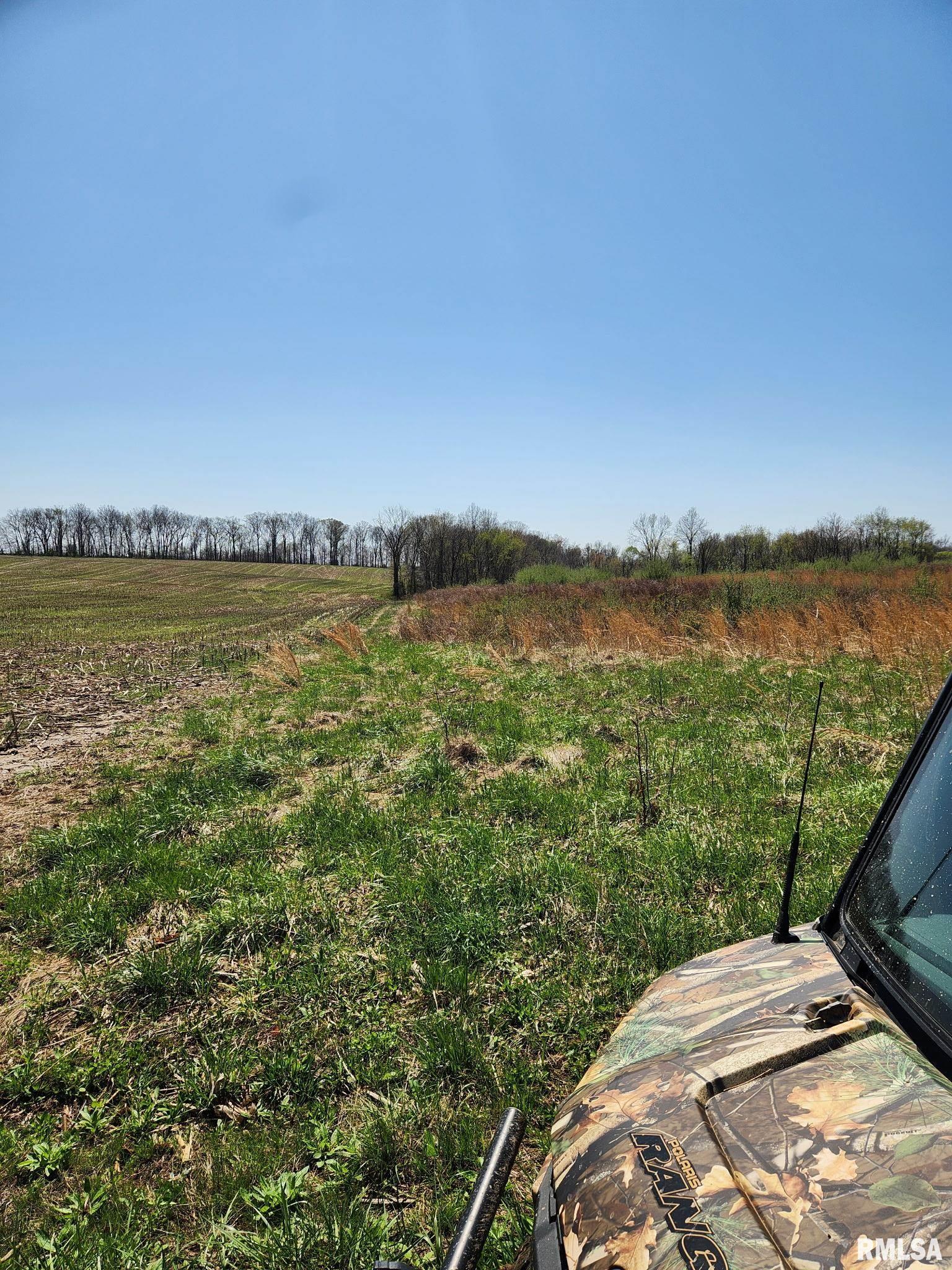 0000 N Flamingo Lane, Scheller, Illinois image 9