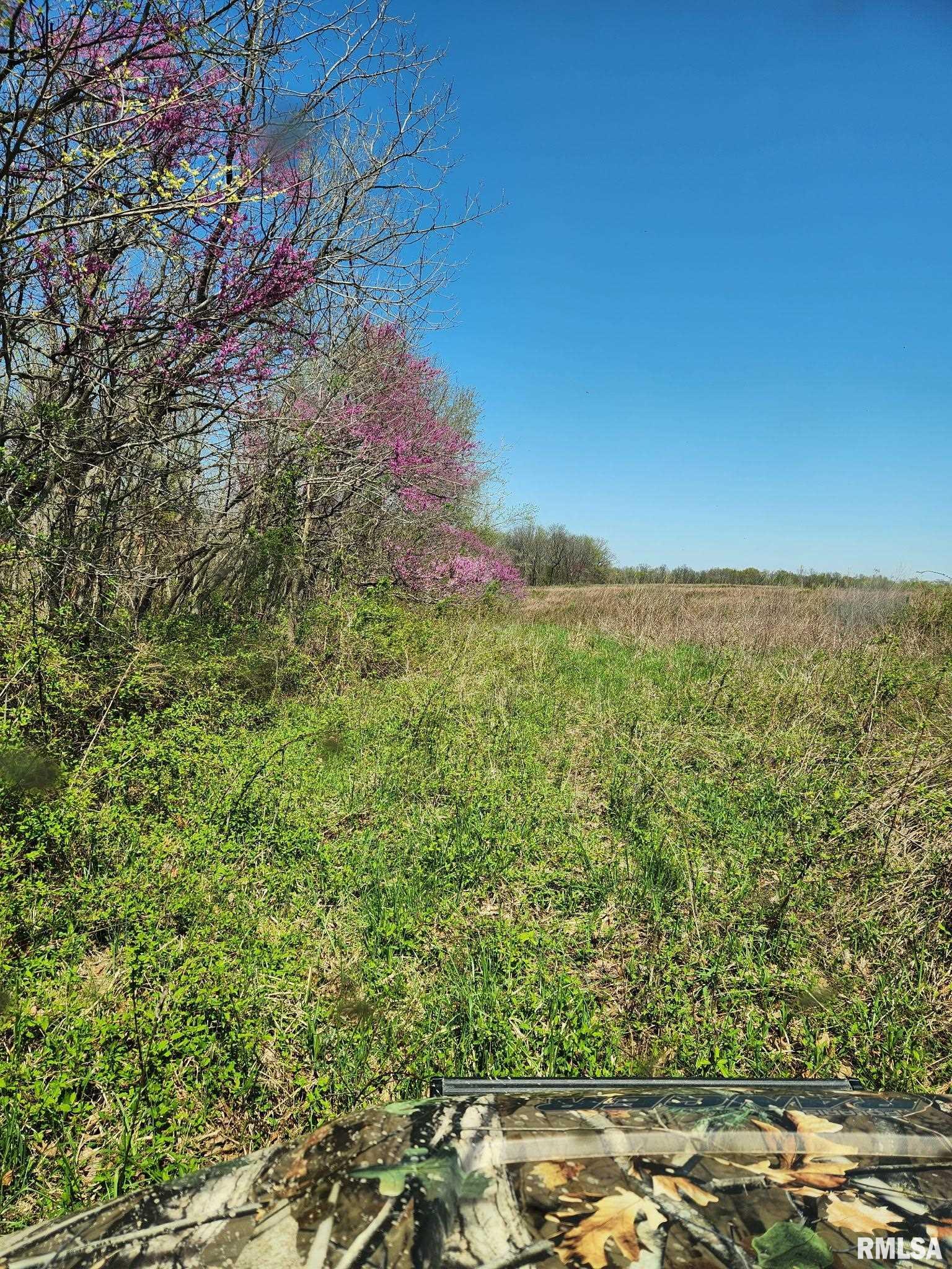 0000 N Flamingo Lane, Scheller, Illinois image 6