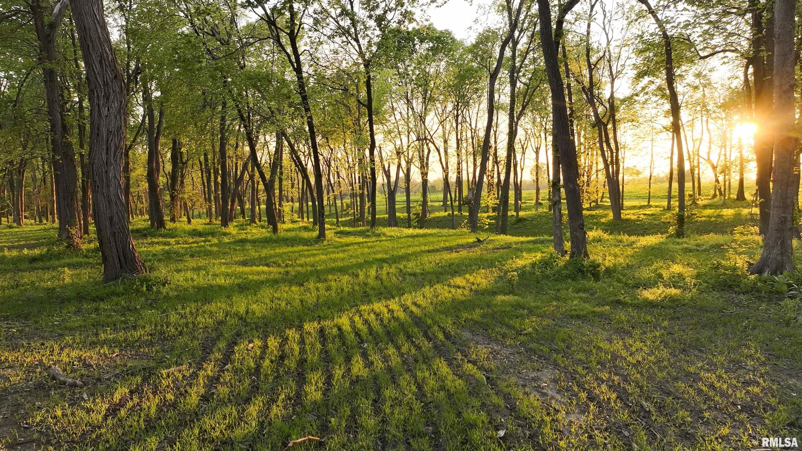 N Hardscrabble Road, Sparland, Illinois image 7