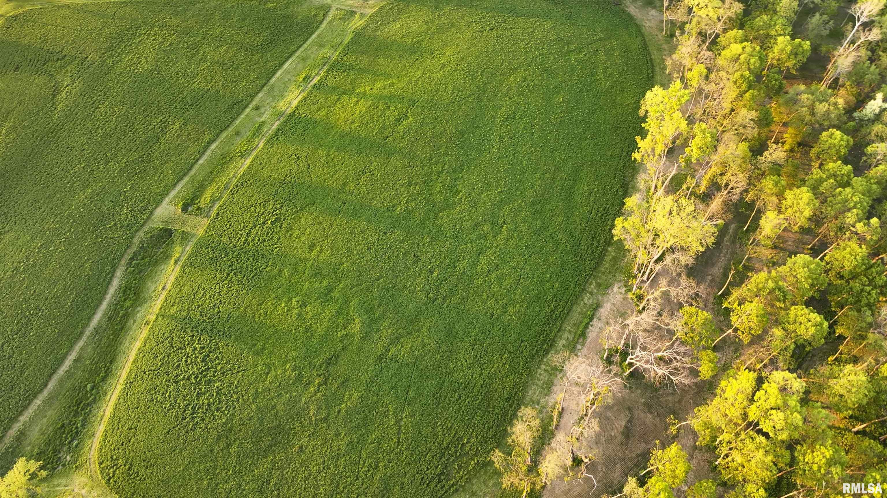 N Hardscrabble Road, Sparland, Illinois image 5