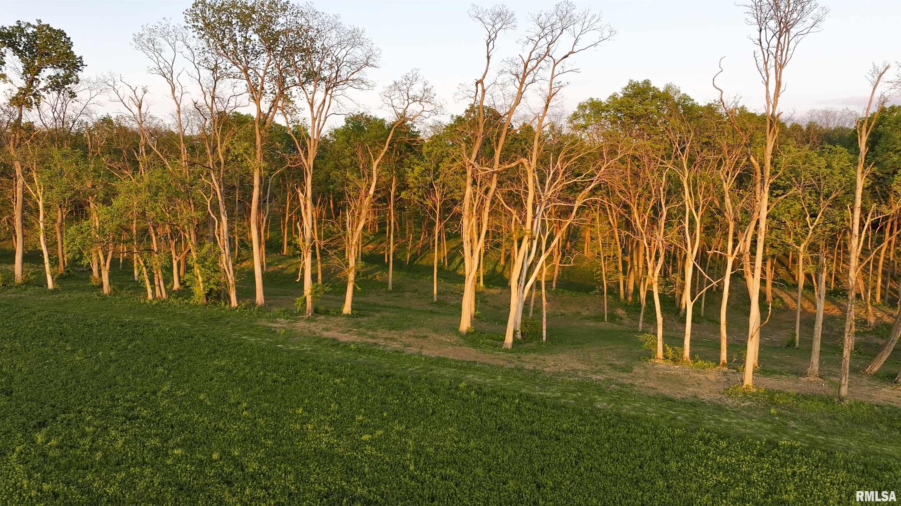N Hardscrabble Road, Sparland, Illinois image 13