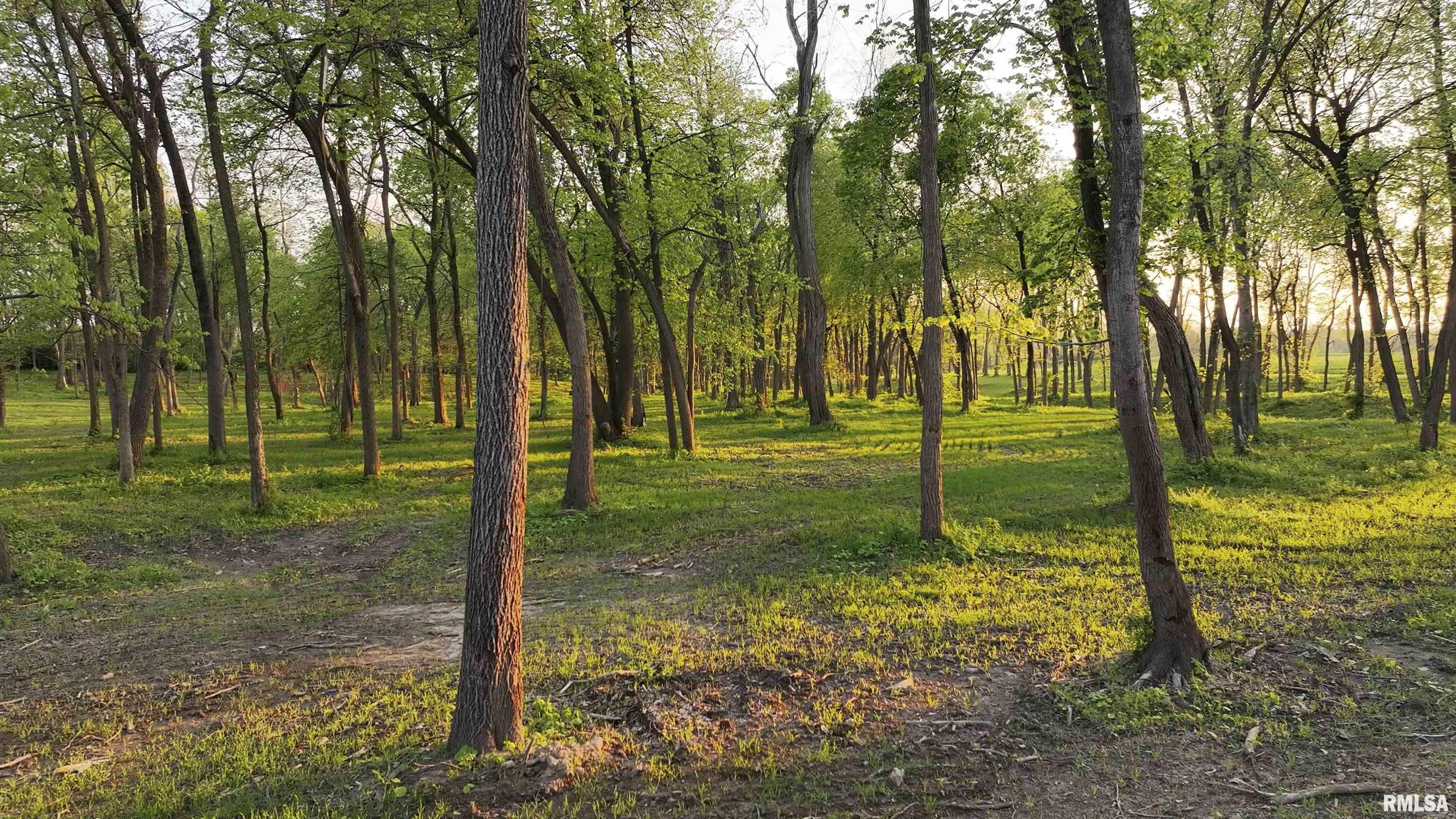 N Hardscrabble Road, Sparland, Illinois image 6