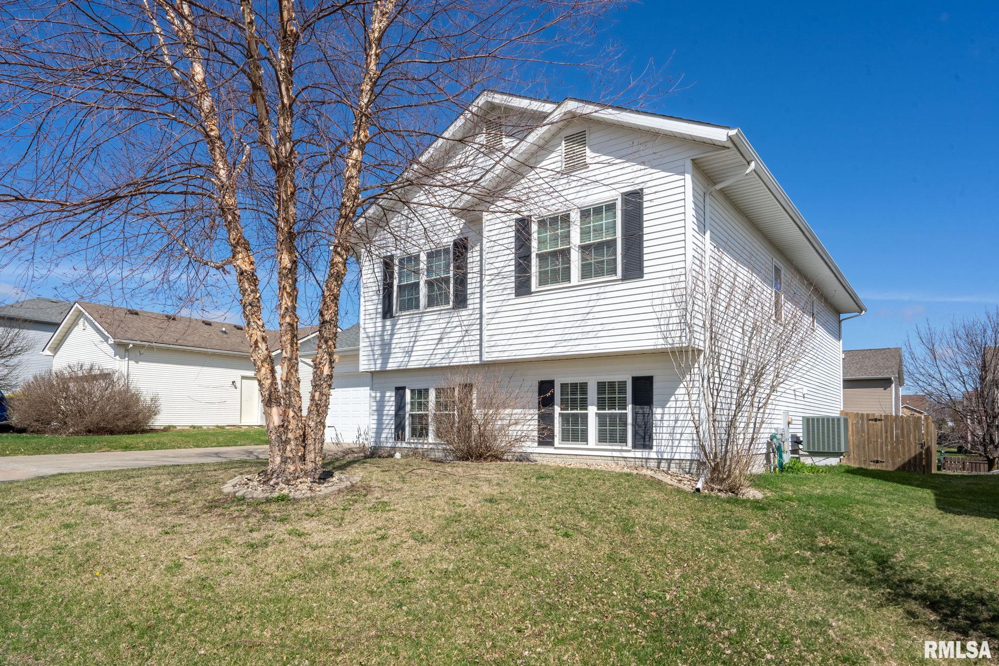 308 Portage Way, Colona, Illinois image 3