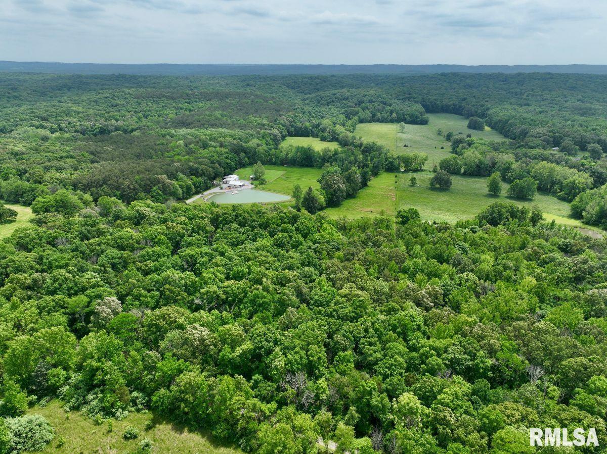 003 Battleford Road, Stonefort, Illinois image 13